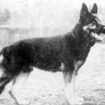 Seigo aus der Espenstätte