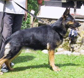 Magda ze Zlaťáku