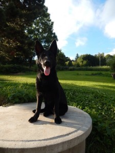 Rozina 4,5m.3